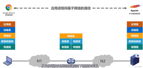 计算机网络体系结构