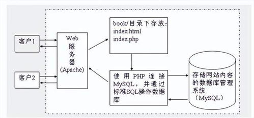网络安全科普系统开发与设计